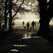 Walking through Richmond Park