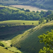 South Downs
