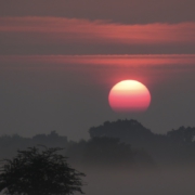 Richmond Park at sunset