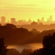 London skyline from Richmond Park at dawn